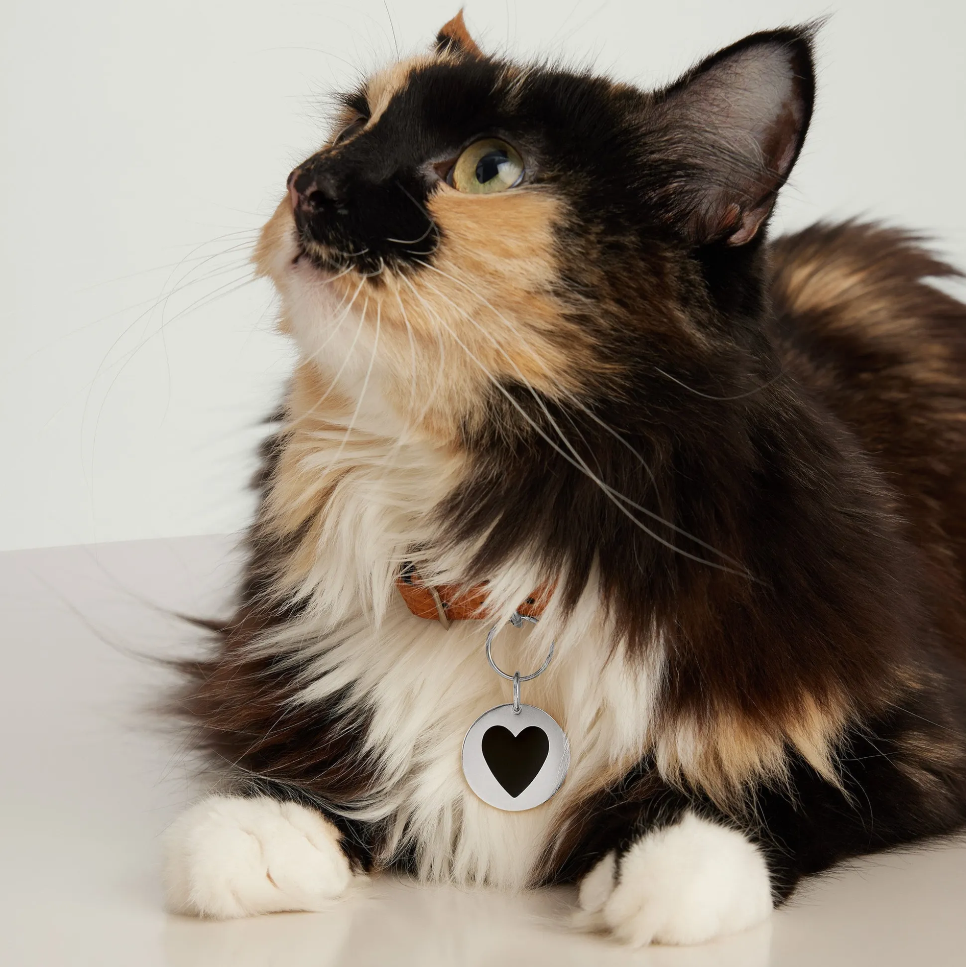 Mejuri Round Heart Pet Tag- Lifestyle