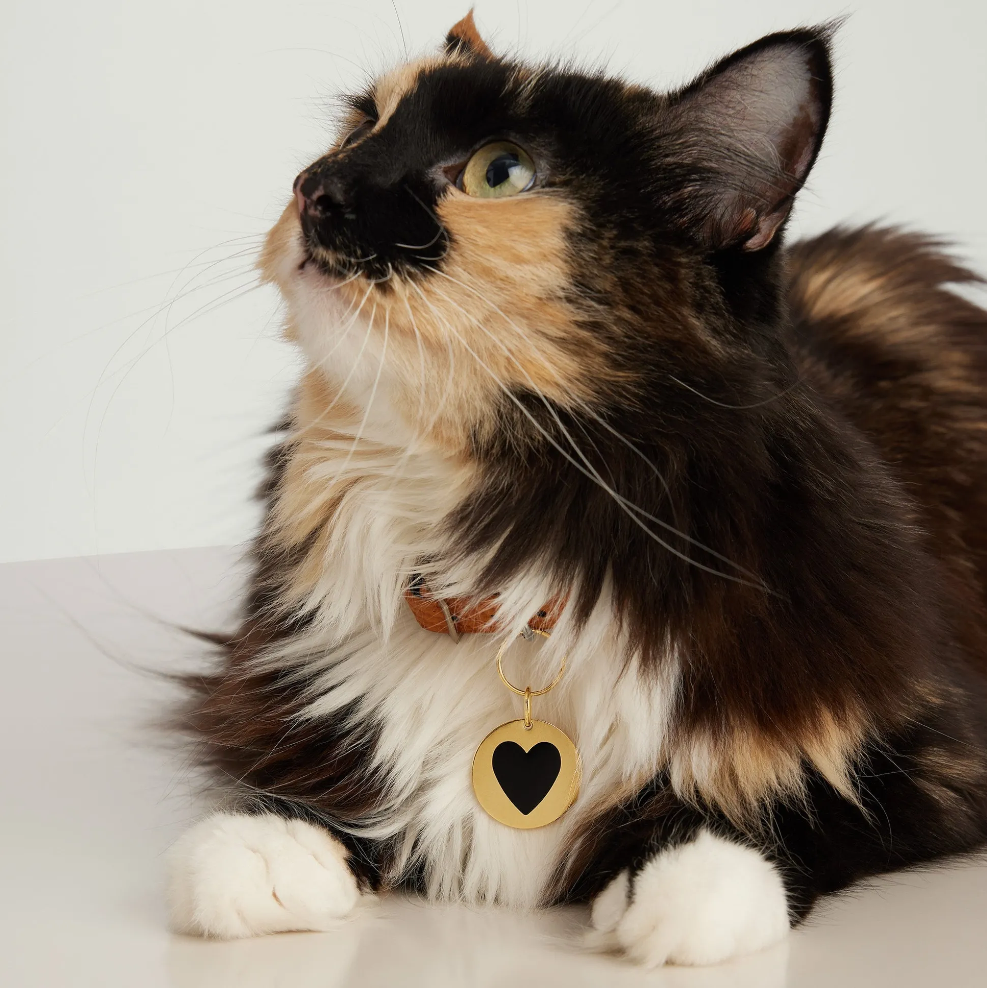 Mejuri Round Heart Pet Tag- Lifestyle