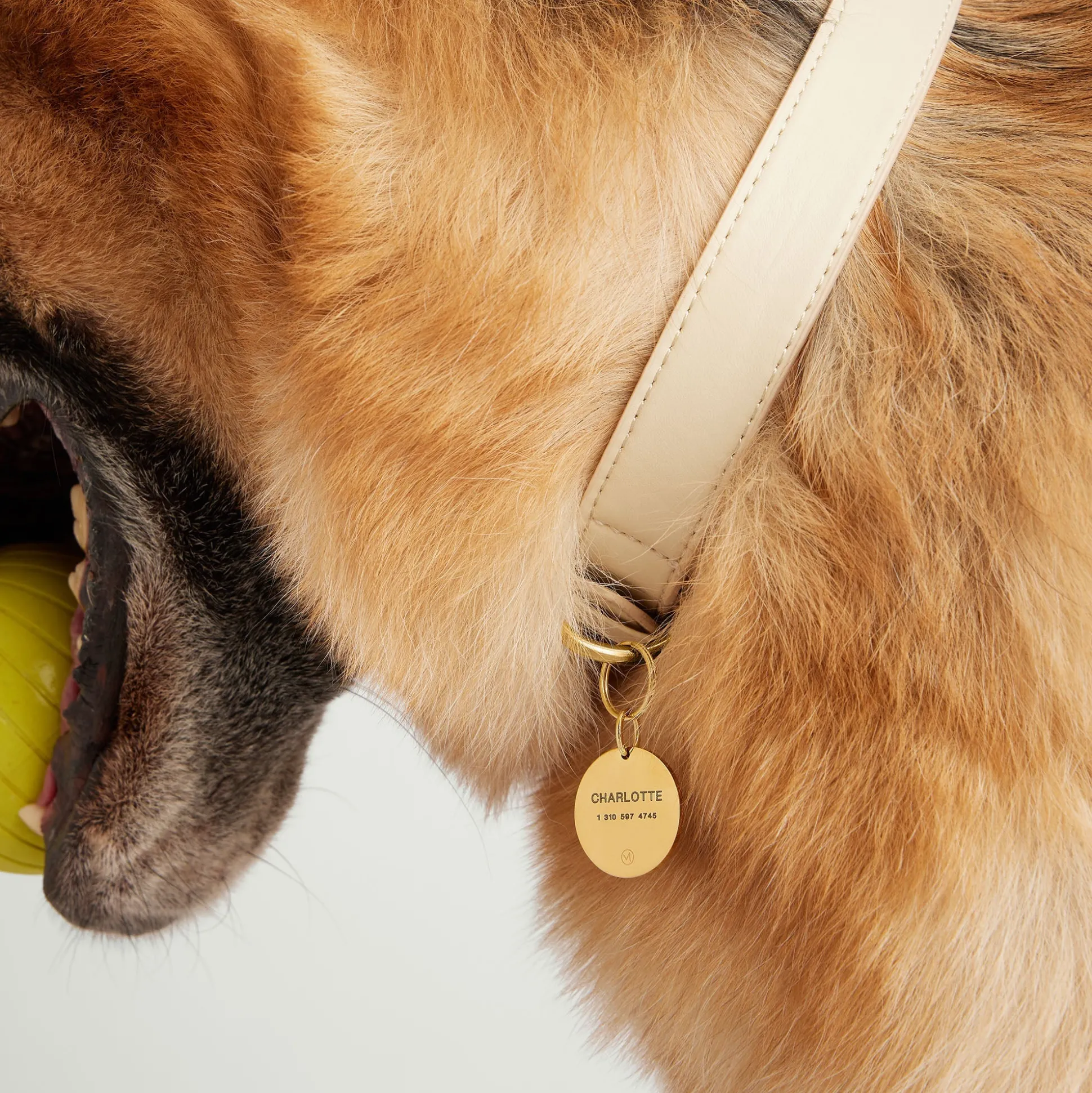 Mejuri Round Heart Pet Tag- Lifestyle