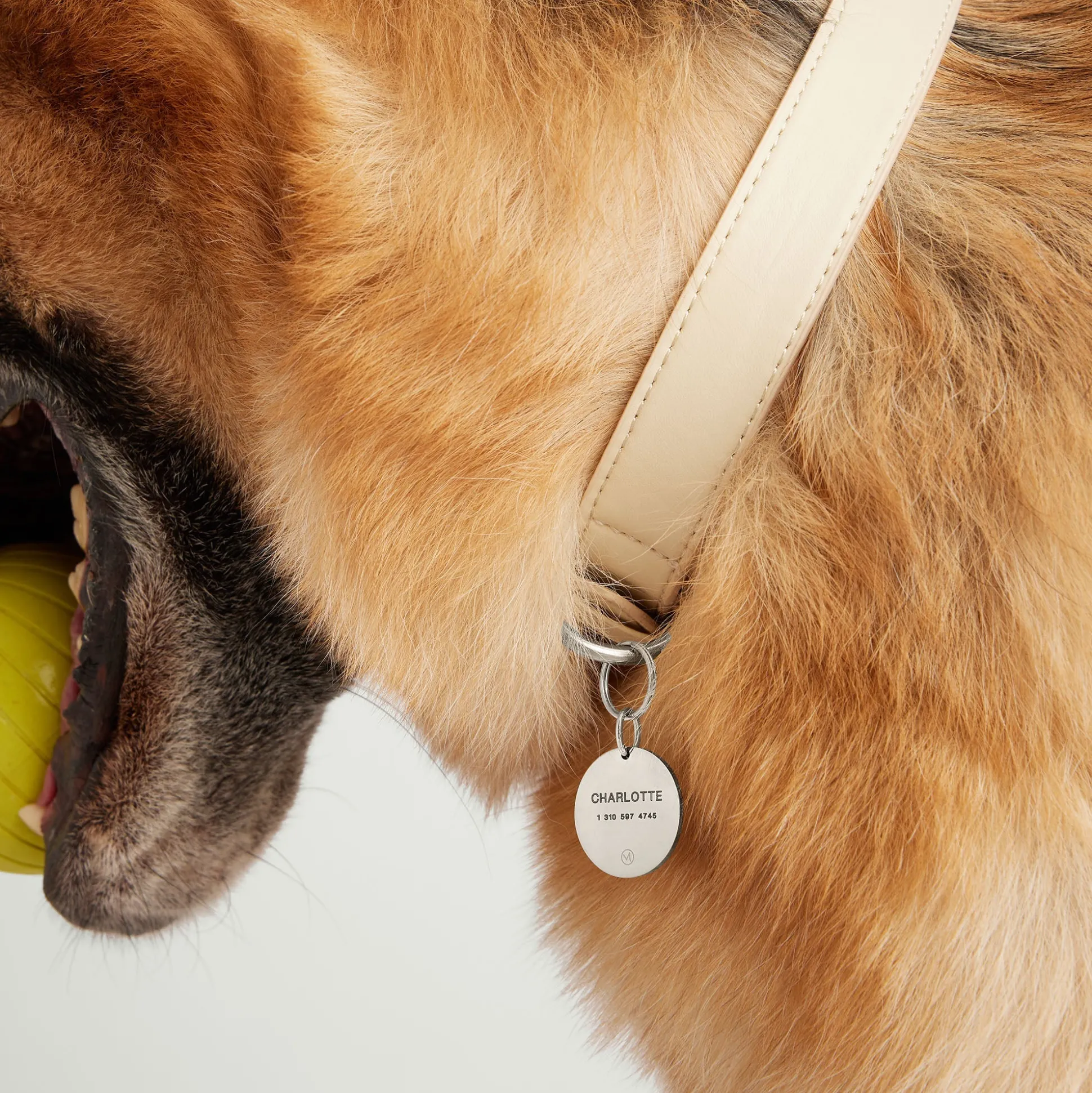 Mejuri Round Heart Pet Tag- Lifestyle