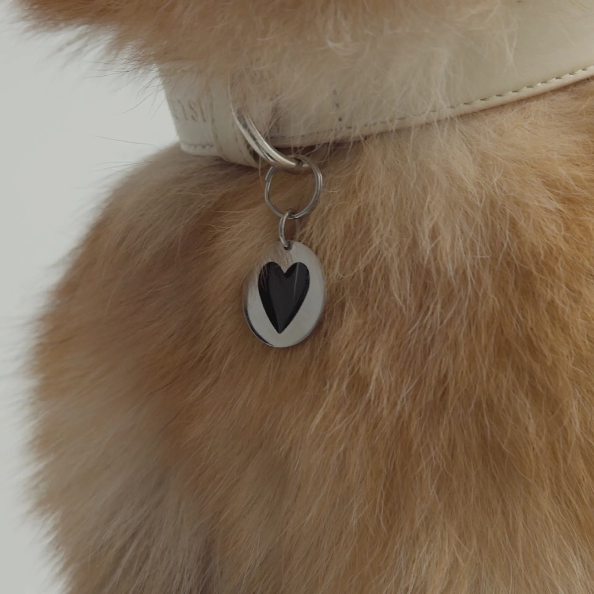 Mejuri Round Heart Pet Tag- Lifestyle