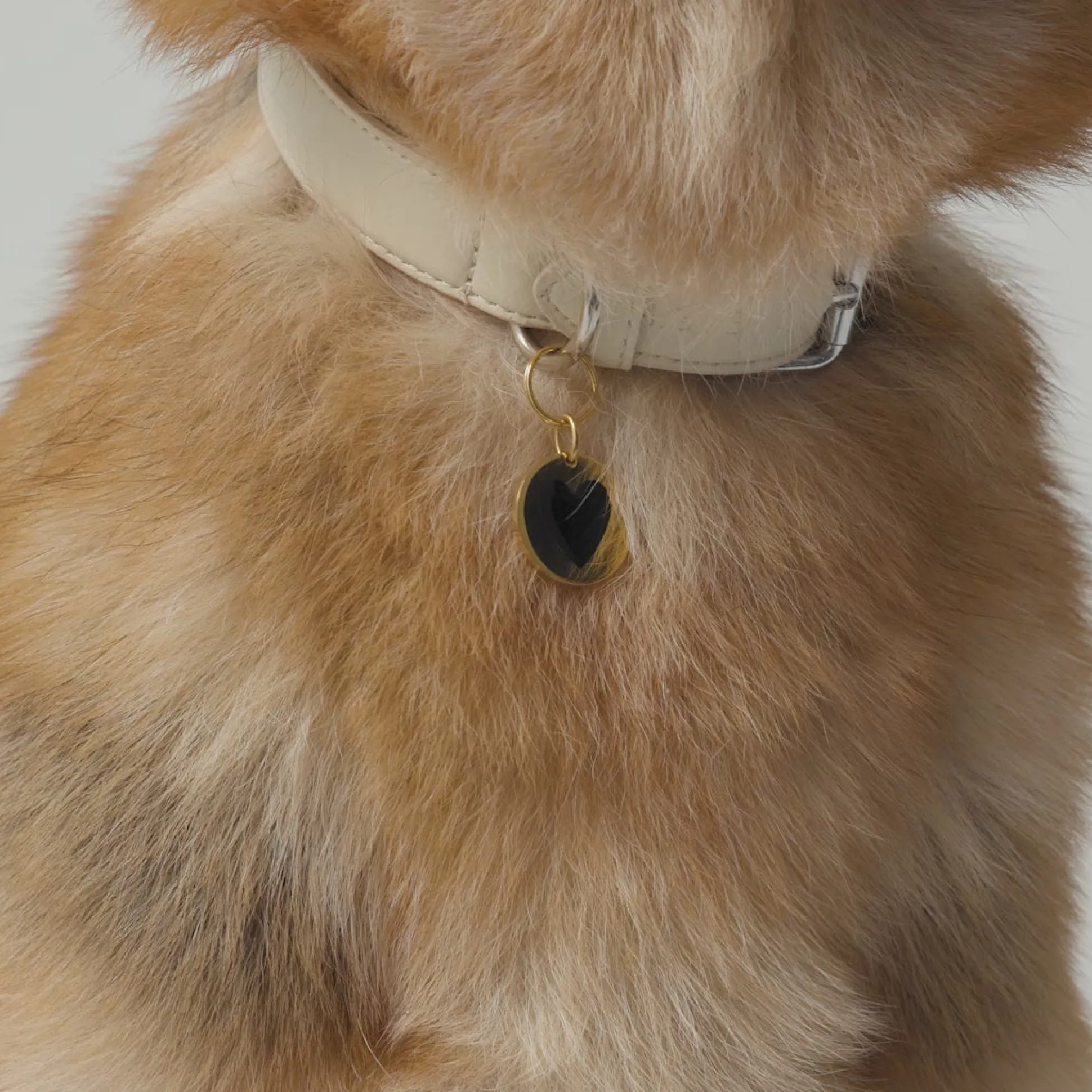 Mejuri Round Heart Pet Tag- Lifestyle
